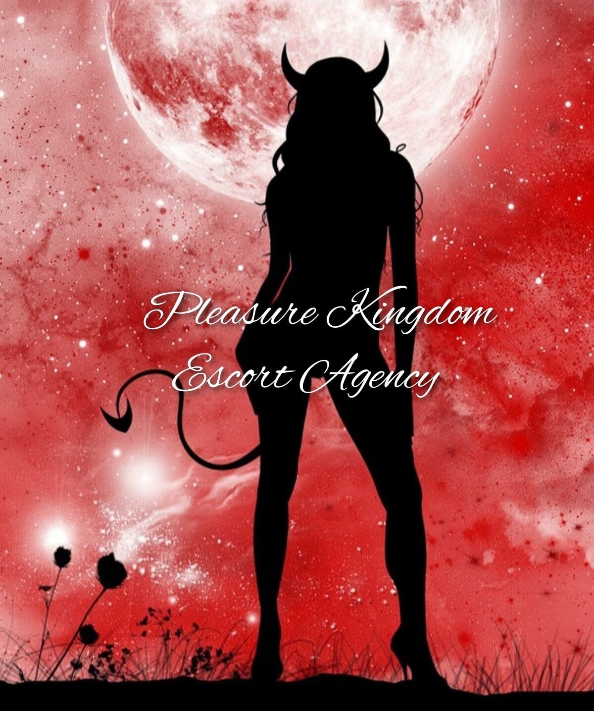 Pleasure Kingdom Agency